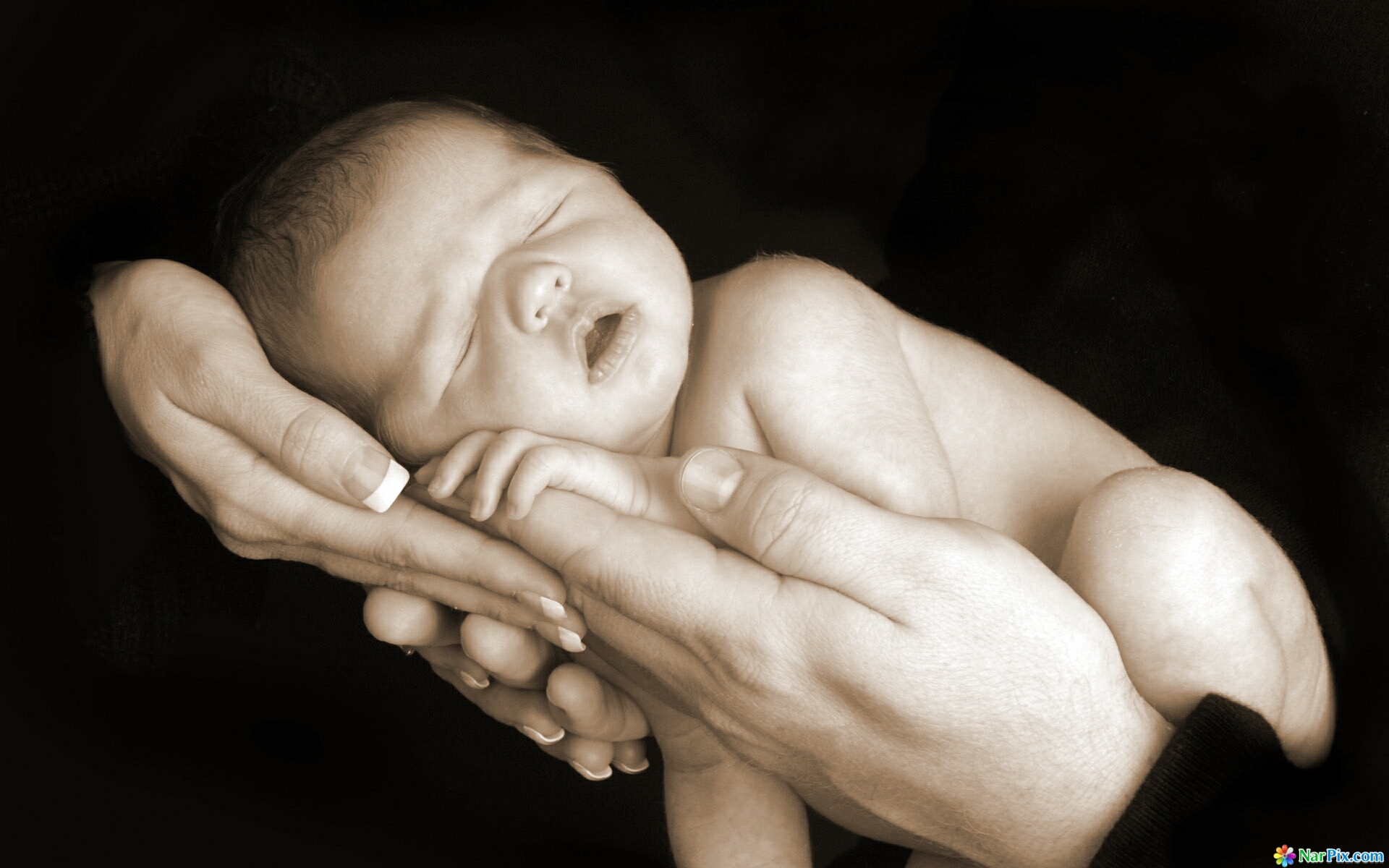 baby-in-hand-wallpaper.jpg